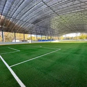 Крытый хоккейный комплекс в Битцевском парке, Москва. - спортивная площадка